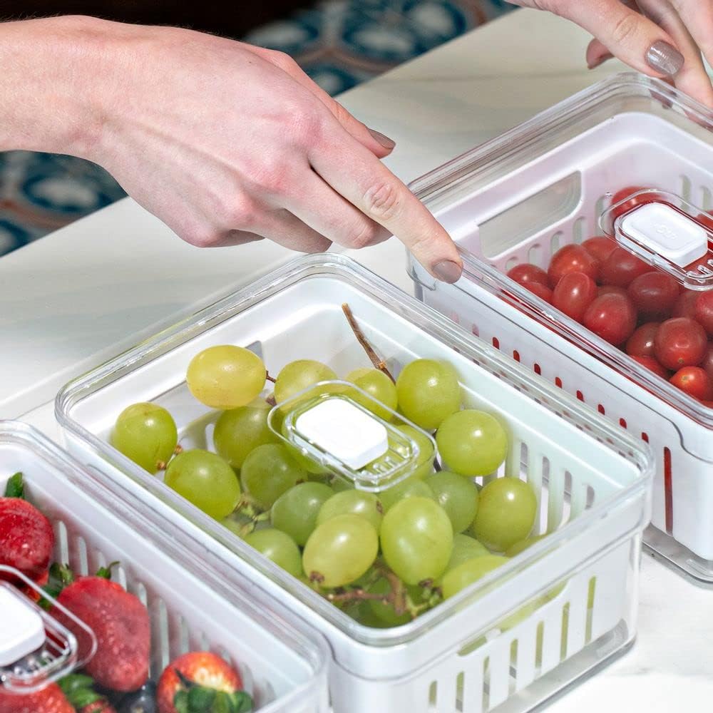 OU OF450NT Organizador de Geladeira com Escorredor Interno, 2,2 L - Caixa Plástica para Legumes, Saladas