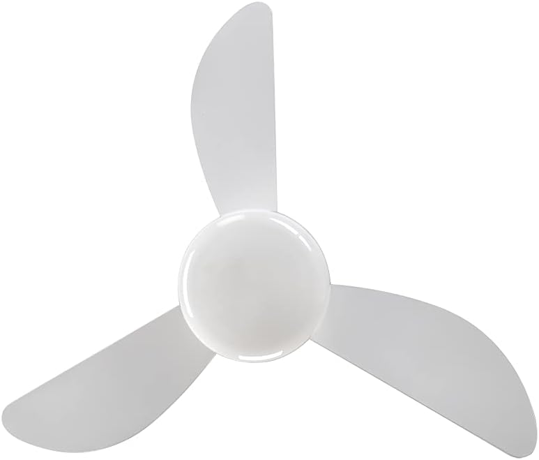 Ventilador de Teto com Lustre para 2 Lâmpadas